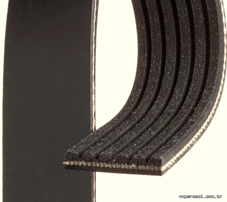 GATES 6PK1029SF V Kayışı - GATES - 6PK1029SF